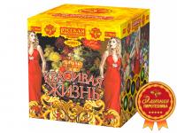 Красивая жизнь Фейерверк купить во Владимире | vladimir.salutsklad.ru