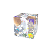 Новогодняя ночь Салют купить во Владимире | vladimir.salutsklad.ru