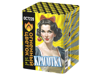 Красотка Батарея салютов купить во Владимире | vladimir.salutsklad.ru