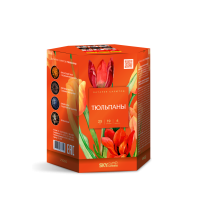 Тюльпаны Салют купить во Владимире | vladimir.salutsklad.ru