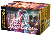 Гвоздь программы Фейерверк купить во Владимире | vladimir.salutsklad.ru