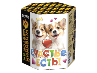 Счастье есть! Салют купить во Владимире | vladimir.salutsklad.ru