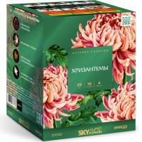 Хризантемы Фейерверк купить во Владимире | vladimir.salutsklad.ru