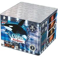 Косатка Фейерверк купить во Владимире | vladimir.salutsklad.ru