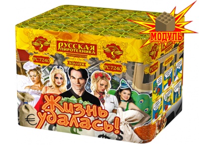 Жизнь удалась Фейерверк купить во Владимире | vladimir.salutsklad.ru