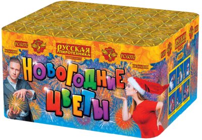 Новогодние цветы Фейерверк купить во Владимире | vladimir.salutsklad.ru