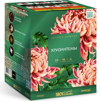 Хризантемы Фейерверк купить во Владимире | vladimir.salutsklad.ru