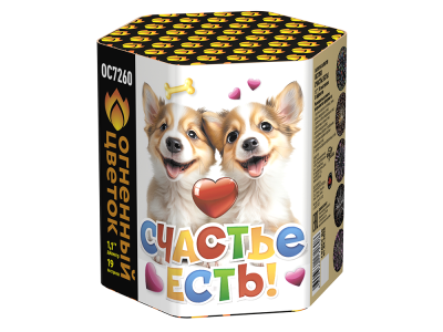 Счастье есть! Салют купить во Владимире | vladimir.salutsklad.ru